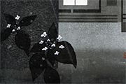 Saito Kiyoshi KATSURA KYOTO 70’(A)