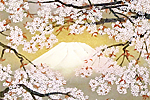 Nakajima Chinami Cherry blossom / Mt.Fuji