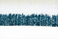 Hoshi Joichi A blue row