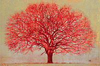 星襄一　赤い木