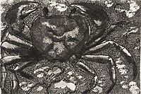 Fujita Tsuguharu (Leonard Foujita) Crab