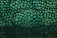 Hamaguchi Yozo Green grape