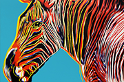 Warhol Andy The kind on the verge of extinction"Grevy’s Zebra"