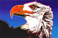 Warhol Andy The kind on the verge of extinction "Bald Eagle"