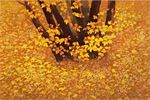 Higashiyama Kaii Passing Autumn (new reprint picture)