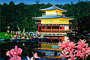 Yamagata Hiro Golden pavilion in Kinkakuji temple