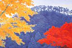 Higashiyama Kaii Autumn Colors(new reprint picture)