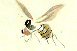 Fujita Tsuguharu (Leonard Foujita) Bee