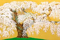 Nakajima Chinami Cherry blossom (Ooito Sakura) of Kanda