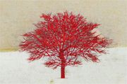 星襄一 一本の赤い木