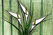 Bernard Buffet Calla lily