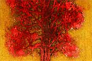 Hoshi Joichi A small tree (red)