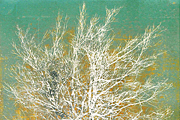 Hoshi Joichi A tree (white)