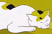 熊谷守一 猫
