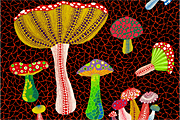 Kusama Yayoi Toadstools