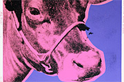 Warhol Andy COW