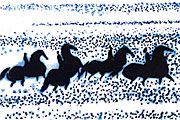 ブラジリエ ネプチューンの乗馬
