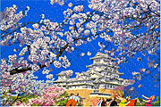 ヒロヤマガタ 日本のエッセンス　姫路城