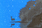 千住博 星のふる夜に