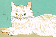 藤田嗣治 白い猫