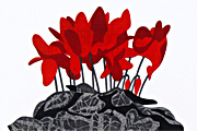 斎藤清 早春(2)