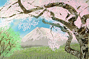 Nakajima Chinami Scenery of Mount Fuji and the cherry tree