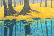 Higashiyama Kaii Winter Reflections