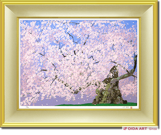 Nakajima Chinami Cherry blossom (Jindai Sakura)