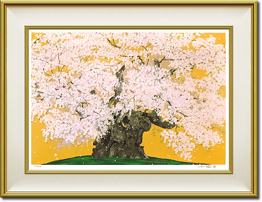 Nakajima Chinami Cherry blossom (Jindaizakura)