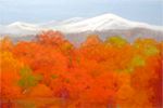 奥田元宋 遠山紅葉