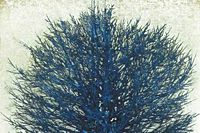 Hoshi Joichi A treetop(blue)
