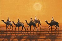 Hirayama Ikuo Asahi camel line