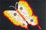 Kusama Yayoi Butterfly(#81)