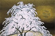 Kayama Matazo Cherry blossoms at night