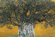 Hoshi Joichi Tree of King
