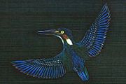 Kayama Matazo Kingfisher