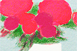 カトラン グレー基調のバラ色の花束