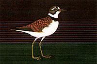 Kayama Matazo Plover and Venus Comb 1989