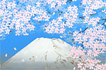 Nakajima Chinami Mt.Fuji in the spring
