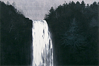 Senju Hiroshi Waterfall　and Tree of cliff