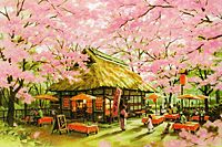 Sasakura Teppei Sakura Chaya (Seasons Sweet)