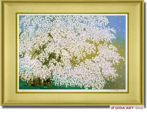 Nakajima Chinami Cherry blossom (Taki Sakura)