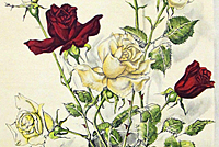 Fujita Tsuguharu (Leonard Foujita) Roses in a vase