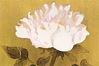 Kayama Matazo White peony