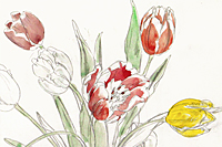 Fujita Tsuguharu (Leonard Foujita) Tulip