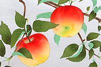 Nakajima Chinami Apples in autumn