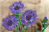 Kazuki Yasuo Blue flower