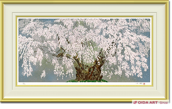 Nakajima Chinami Weeping cherry tree of Tsuboi（3）