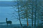 Senju Hiroshi Lake side in the moonlight