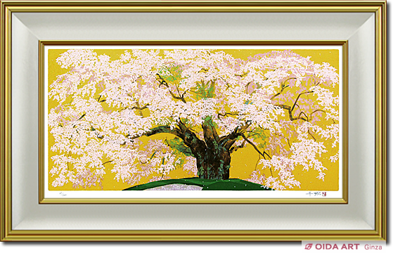 Nakajima Chinami Cherry blossom named "Komatsunagi"